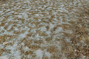 AUTUMN AND WINTER TEXTURE PACK, a Textures & Material 3D Model by Beatheart Creative Studio (Thumbnail 34 of 58)