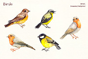 Birds watercolor clipart, an Illustration by Where summer is (Thumbnail 3 of 4)
