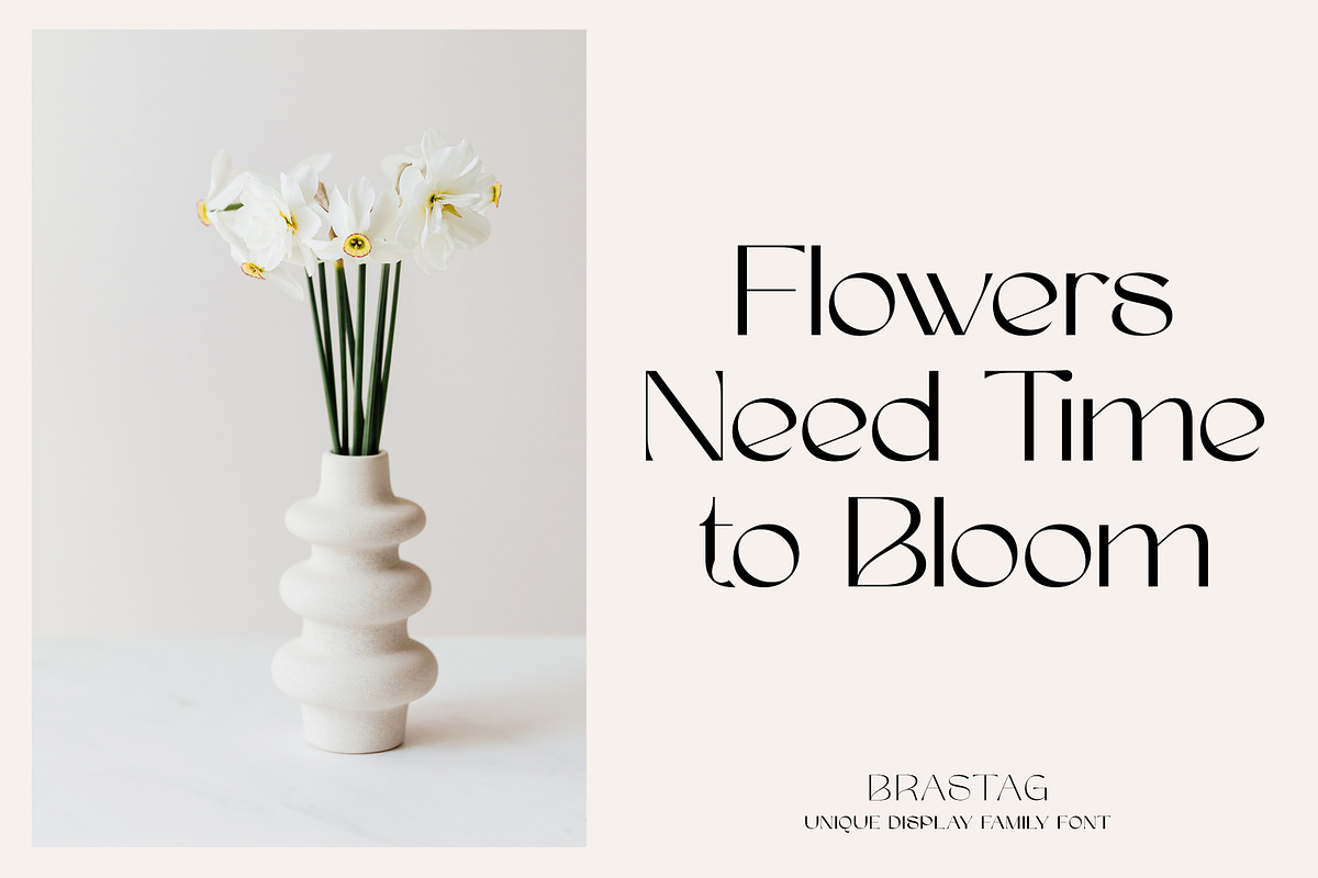 Brastag | Display Family Font, a Sans Serif Font by Ekahermawan (Photo 7 of 11)