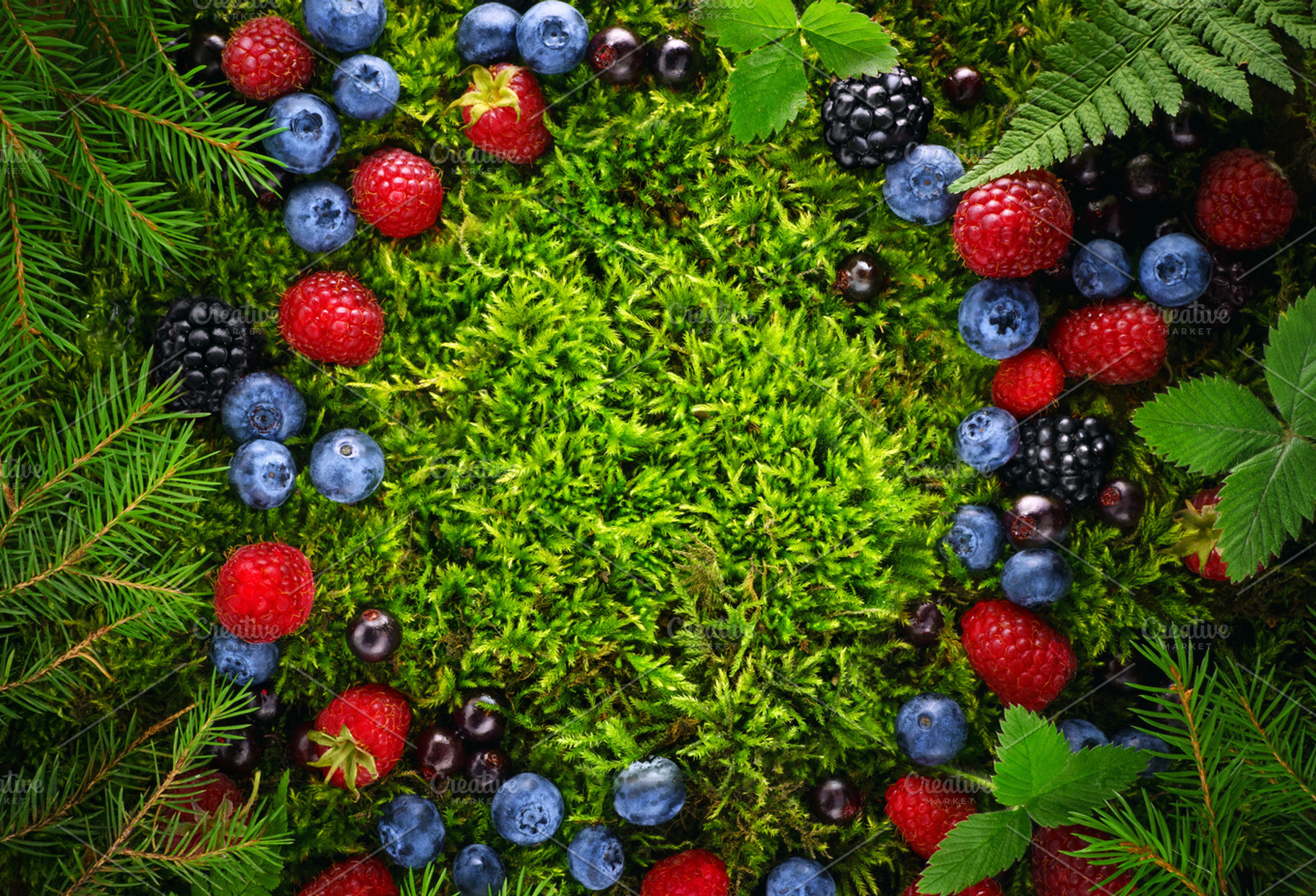 Forest Berries Copy Space Background, a Nature Photo by uncle-rico