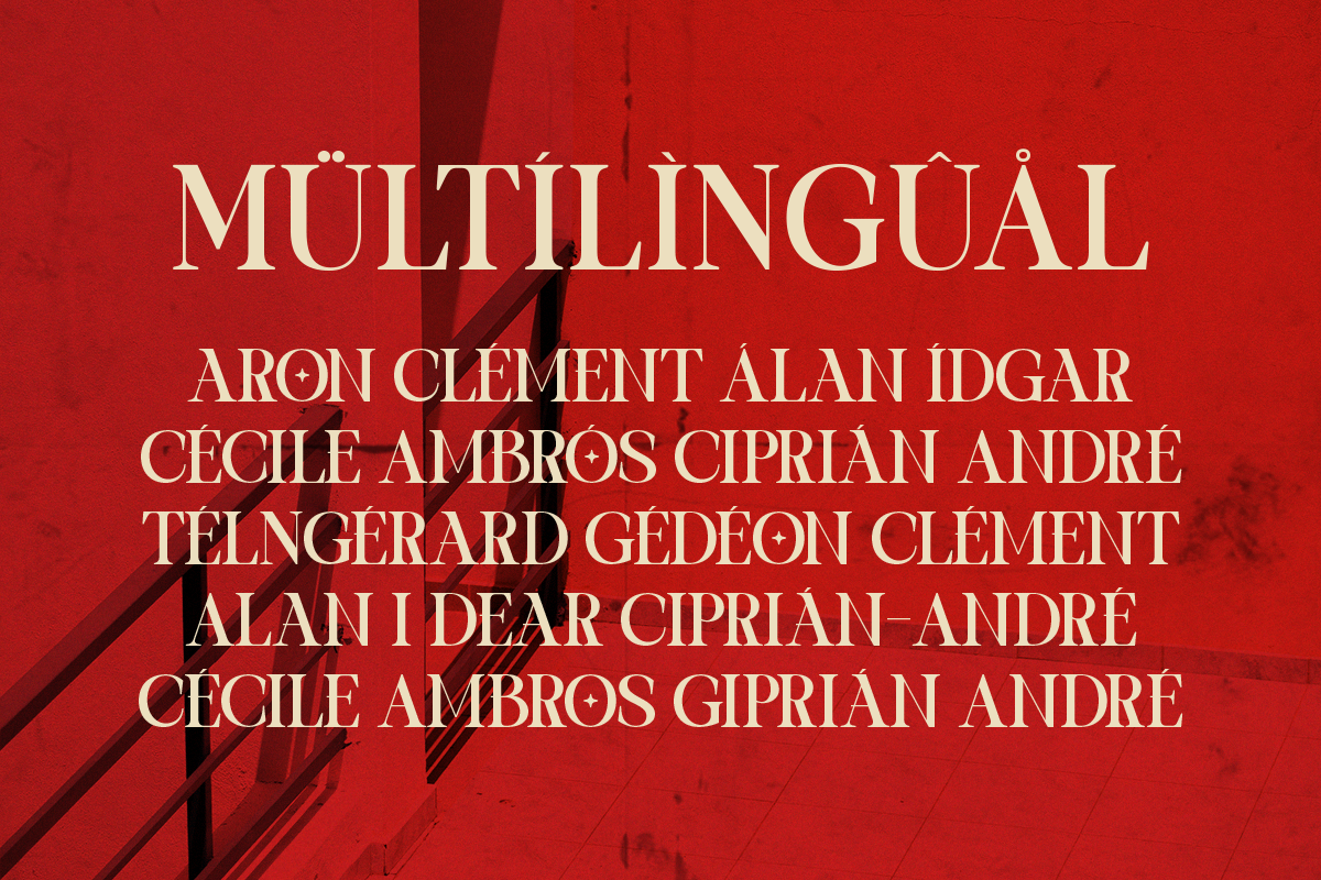 One of a kind | Serif font, a Serif Font by Taboja Studio (Photo 11 of 11)