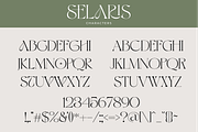 Selaris Modern Serif, a Serif Font by zeenesia (Thumbnail 8 of 16)