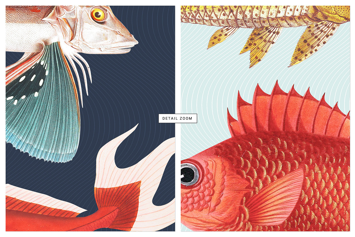 Mulgogi, Luxury Aquatic Designs., a Pattern Graphic by TSTUDIO (Photo 8 of 15)