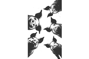 Curious Pigs Looking Down engraving, an Animal Illustration by AlexArt
