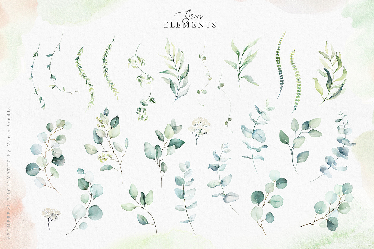 Watercolor Eucalyptus Green Floral, a Decorative Illustration by Veris Studio (Photo 7 of 25)