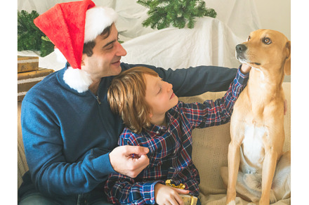Dad and son in santa caps and dog on, a Holiday Photo by Lifemorning
