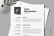 ATS Friendly Resume Templat Indesign, a Resume Template by PixelStudio (Thumbnail 1 of 10)