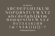 Riley Frost - Casual Serif Font, a Serif Font by StringLabs (Thumbnail 9 of 10)