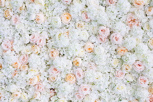 Flowers wall background white roses featuring abstract, art, and background