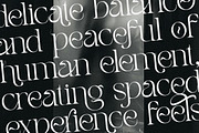 Pearce Vogue - Luxury Serif, a Serif Font by Qweera Studio (Thumbnail 5 of 10)