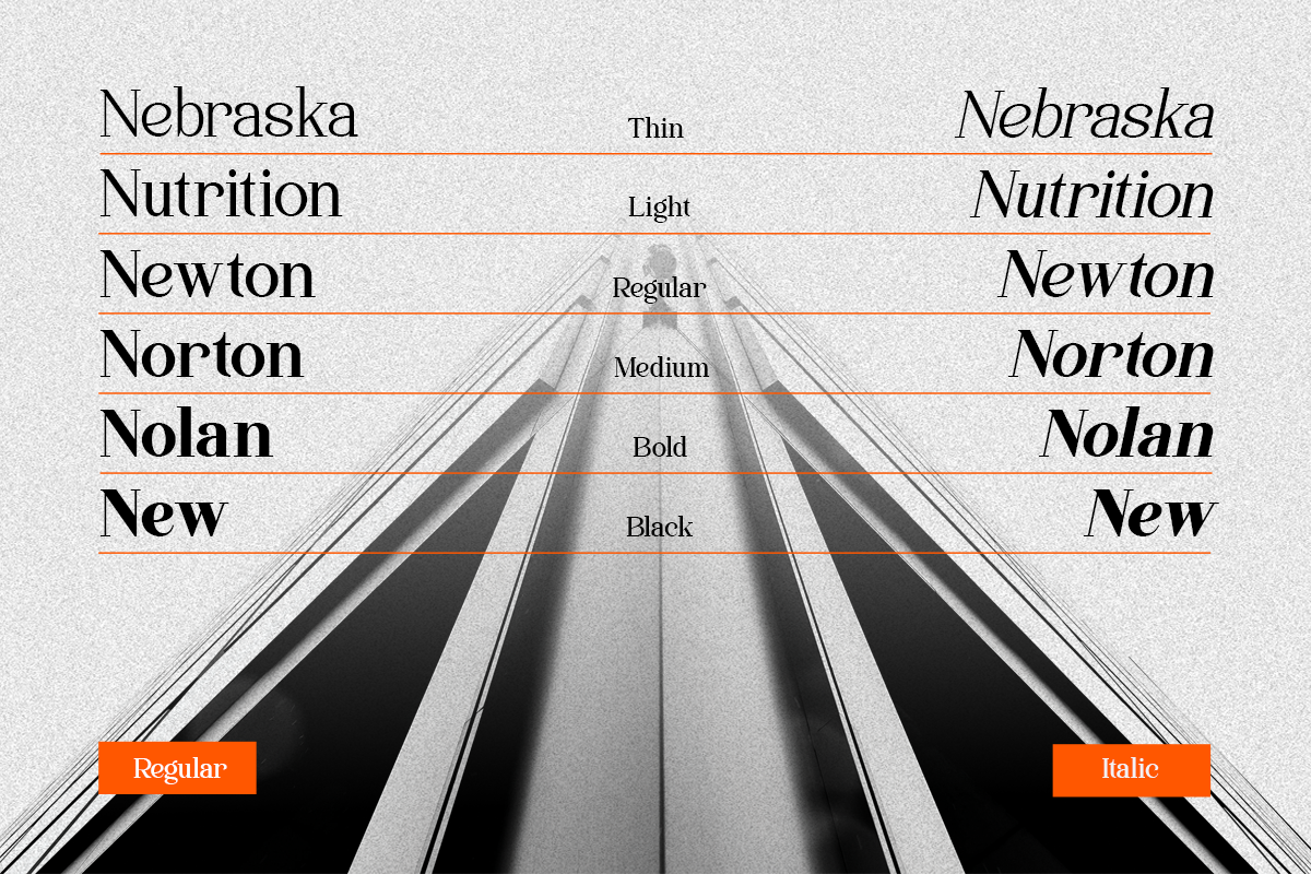 Family Luxury Serif Font - Quinela, a Serif Font by Say Studio (Photo 3 of 12)