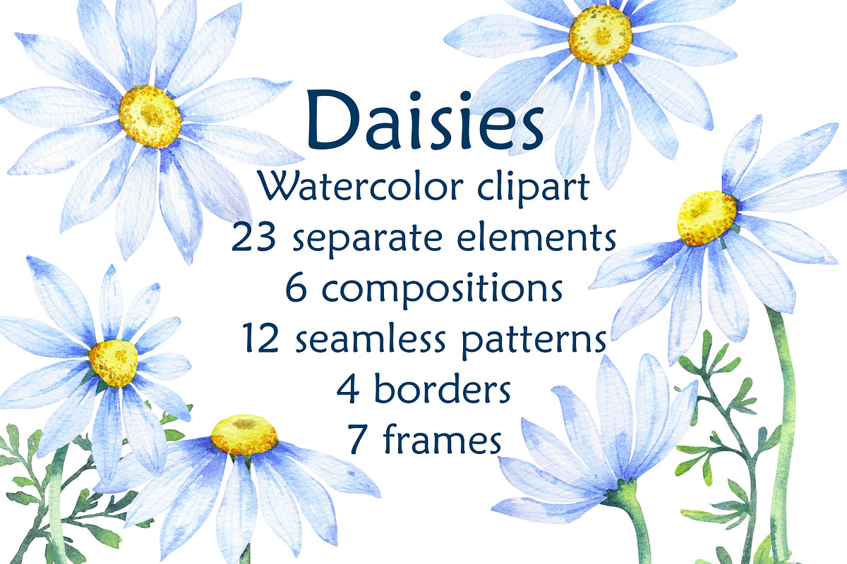 Delicate daisies, a Decorative Illustration by EshaStudio (Photo 1 of 9)
