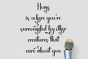 Beach Dandelion, a Handwritten Font by FreshTypeINK (Thumbnail 5 of 8)