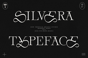 Silvera- Serif Typeface