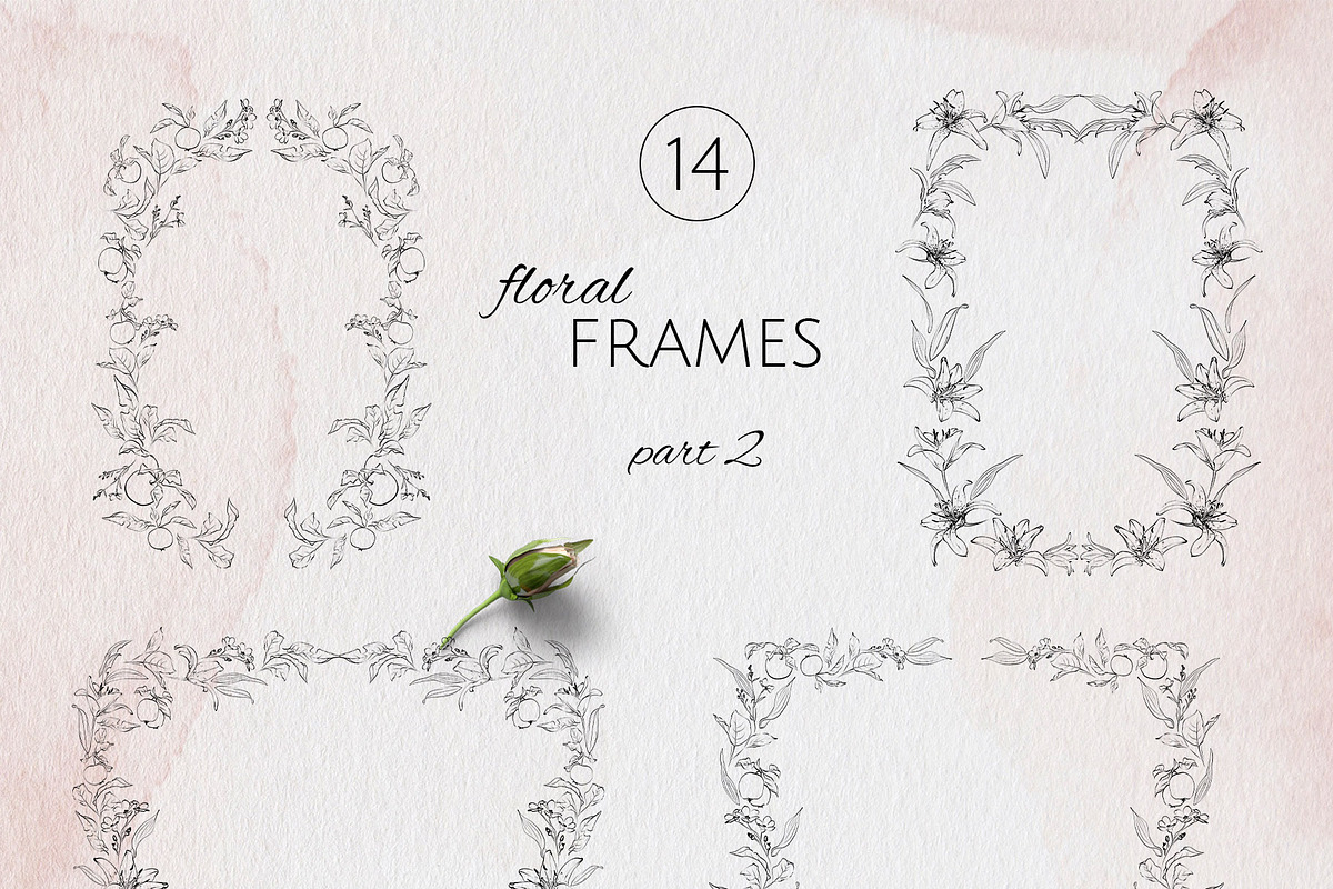 IN MY GARDEN line art florals, a Decorative Illustration by Yuliia Lashevska (Photo 6 of 11)