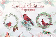 cardinal christmas watercolor, a Decorative Illustration by Art & Things (Thumbnail 6 of 11)