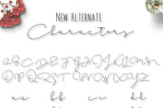 Everlasting Script, a Script Font by deadlock studio (Thumbnail 7 of 8)