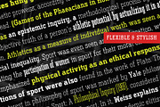 Ferguson Slab Font Family, a Slab Serif Font by Arterfak Project (Thumbnail 6 of 10)