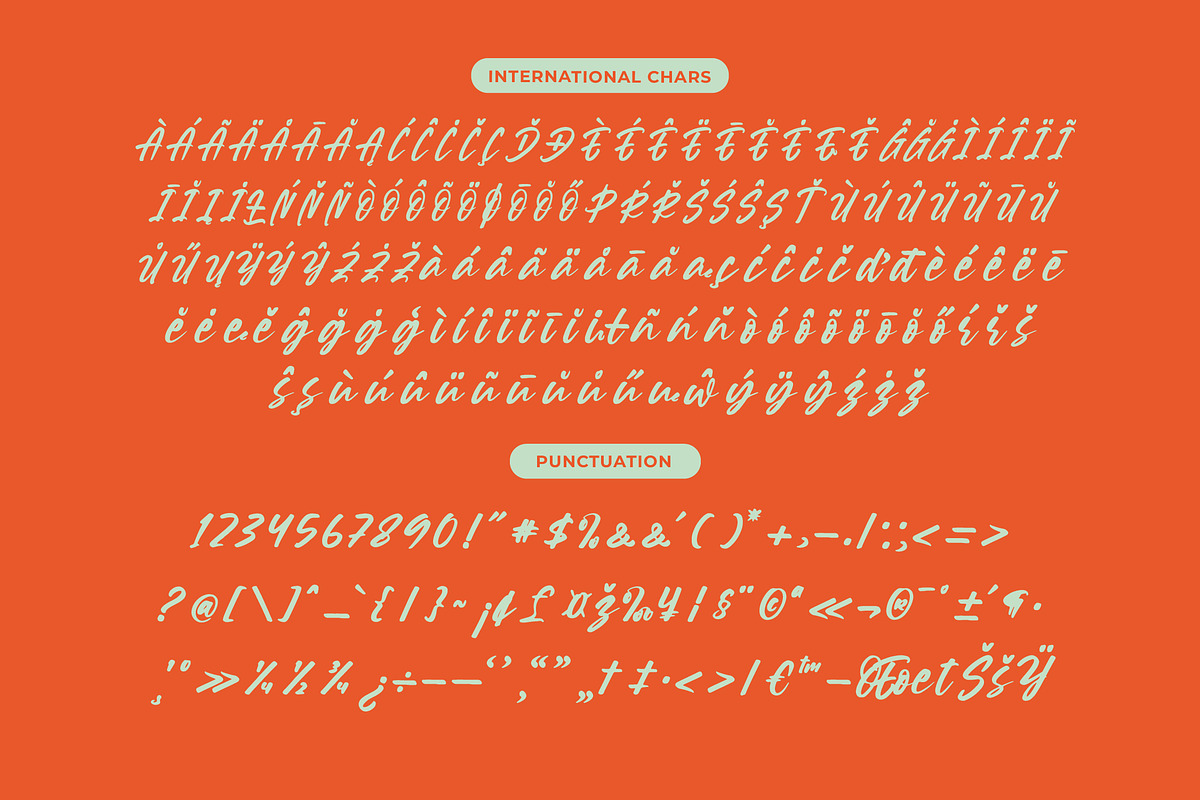 Souther Daleska Modern Brush Font, a Script Font by Letterena Studios Script (Photo 14 of 15)