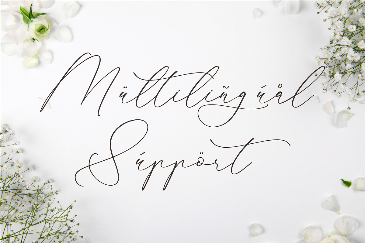 Glofester Menditas Luxury Font, a Script Font by Storytype Studio (Photo 12 of 15)