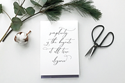 Wantemar - modern calligraphy font, a Script Font by Quothron (Thumbnail 3 of 9)