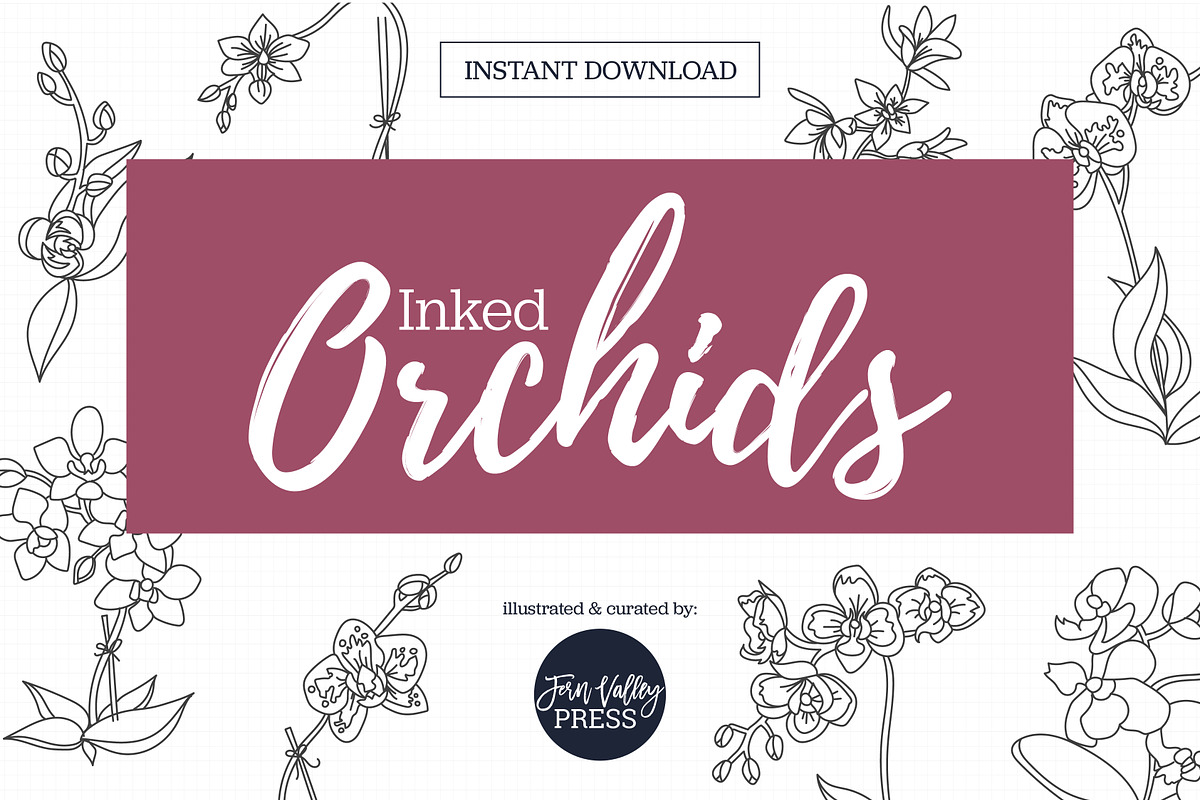 Inked Orchid Illustration Collection, an Illustration by Hannah Eliza Studio (Photo 1 of 4)