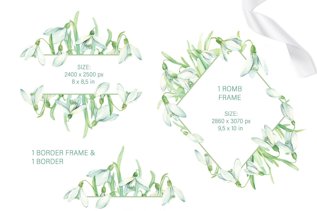Snowdrop Flower Collection, an Illustration by My Wondercolor (Photo 3 of 4)