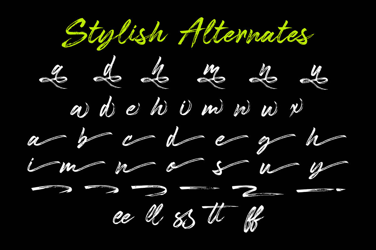 Bableya - Modern Handbrush Script, a Handwritten Font by Sealoung (Photo 11 of 12)