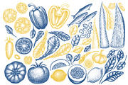 Collagen Diet Vector Collection, a Food Illustration by Lubov Illustrations Shop (Thumbnail 4 of 8)