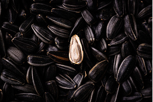 Sunflower seeds on black background, a Food & Drink Photo by Yulia Furman