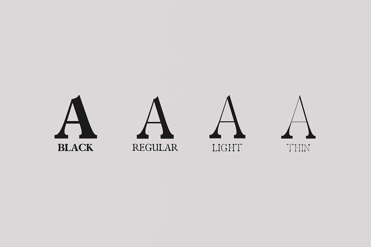 Zack Serif 4 Font Family Pack preview 5