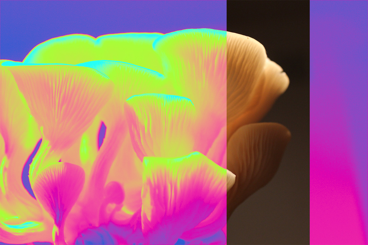 Psychedelic - Gradient Maps, a Gradient Add-On by saintricchi