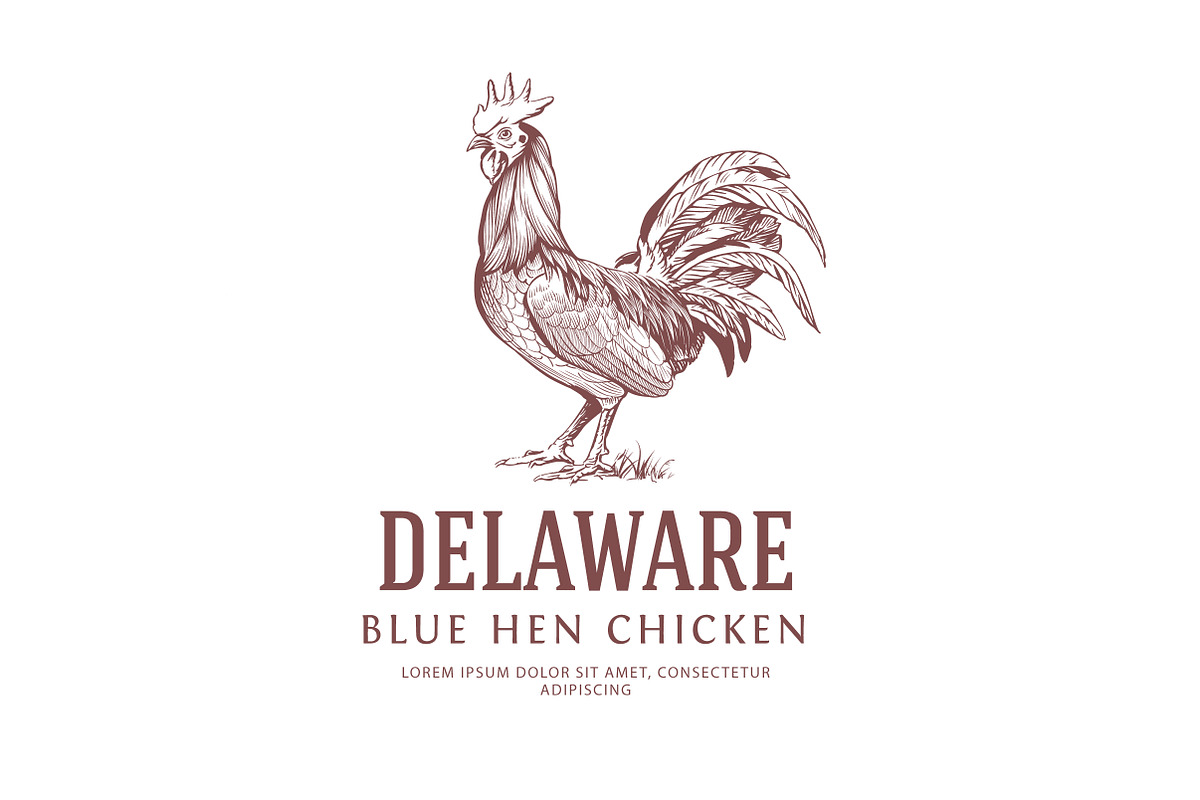 Vintage Bird Logo: Rooster, a Branding & Logo Template by vatesdesign