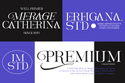 Magerla Serif, a Serif Font by IM Studio (Thumbnail 4 of 12)