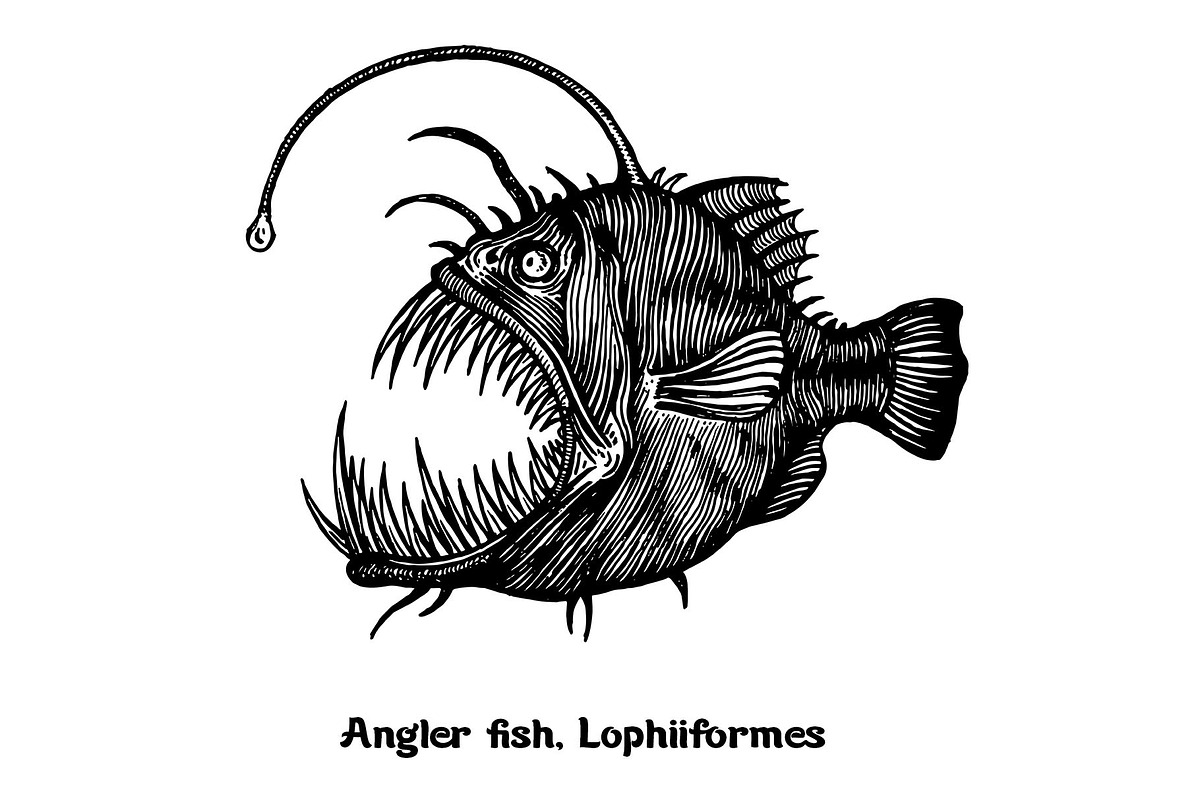 Fish collection, part 4, an Illustration by ZotovShop (Photo 11 of 11)