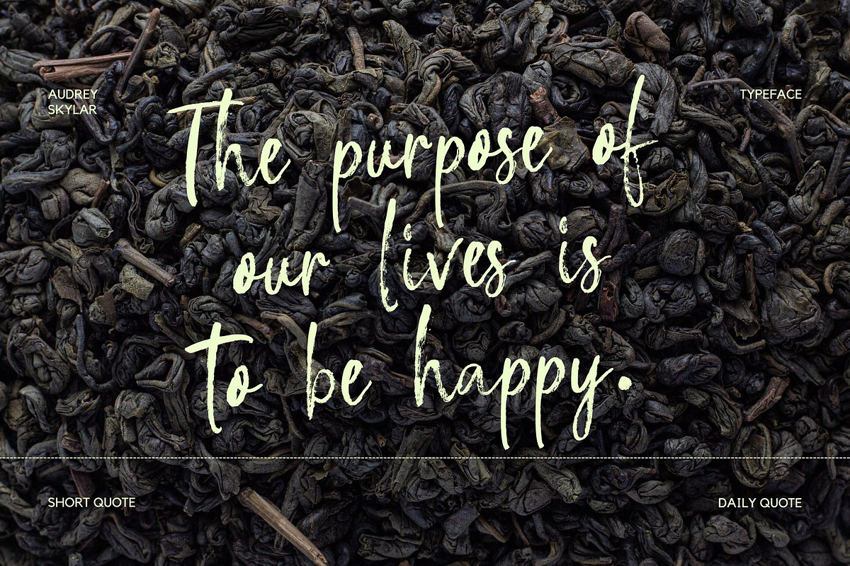 Audrey Skylar, a Handwritten Font by Xelo Graph (Photo 5 of 7)