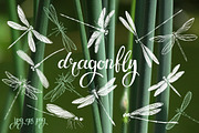 Dragonflies., an Object Graphic by maritime_m (Thumbnail 1 of 7)