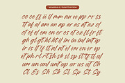 Esylon Sparted Bold Brush Type Font, a Script Font by Letterena Studios Script (Thumbnail 19 of 20)
