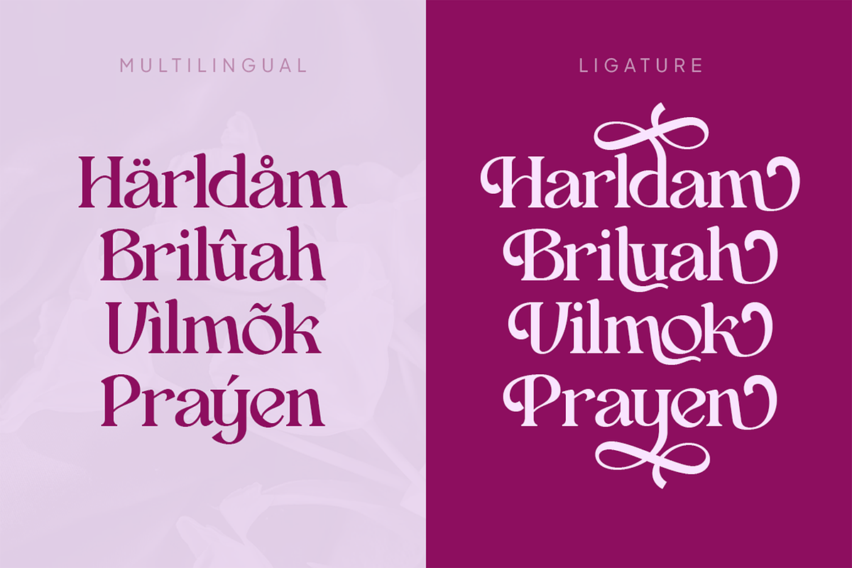 Asah – Elegant Luxury Serif Font, a Serif Font by Pekotype (Photo 5 of 15)