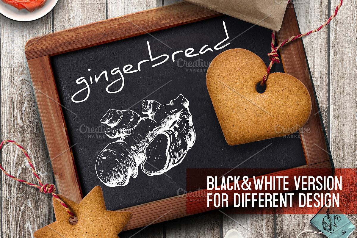 Ginger. Hand drawn illustrations, a Food Illustration by Alena Kaz (Photo 4 of 4)