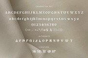 Stemiona - Modern Display Serif Font, a Serif Font by Aksapix Studio (Thumbnail 10 of 10)