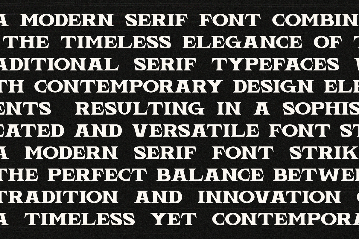 Vemeta - Modern Serif Font, a Serif Font by MaikoHatta (Photo 4 of 8)