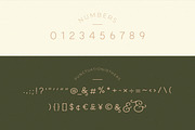 Classy Taylor Typeface, a Serif Font by CCS Type (Thumbnail 20 of 24)