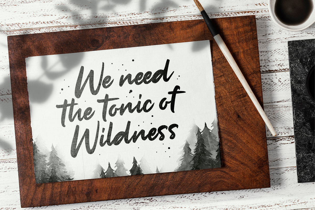 The Milligram Bold Handwritten Font, a Script Font by Allouse Studio (Photo 6 of 10)