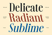 Roneys – Classic Font, a Serif Font by Craft Supply Co. (Thumbnail 5 of 8)