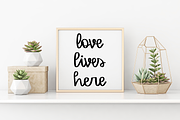 Novice - A Script & Print Font, a Script Font by Nap Time Design Co. (Thumbnail 6 of 7)