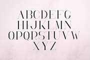 RoseGold Serif font + 10 Logos, a Serif Font by VP Fonts (Thumbnail 6 of 20)