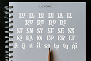 Glaster Elegant Ligature Serif Font, a Serif Font by Font Kingdom (Thumbnail 9 of 11)