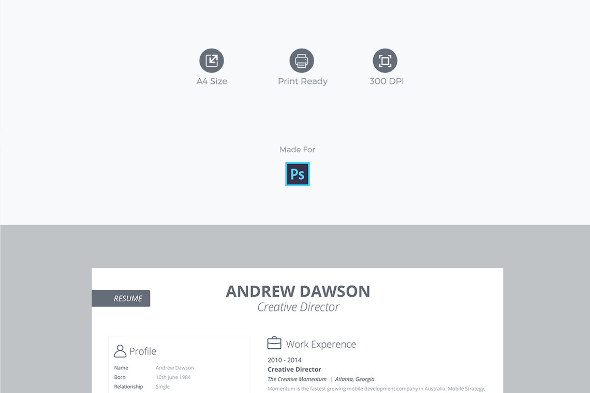 Greyline Resume, a Resume Template by UIMint (Photo 2 of 2)