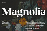 Flagtail Display - Modern Serif, a Serif Font by Pekotype (Thumbnail 3 of 6)